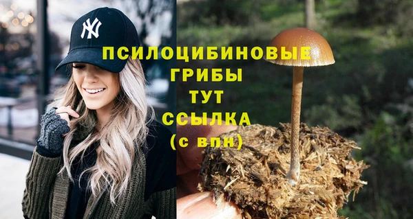 MDMA Premium VHQ Дмитров