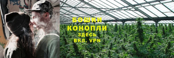 дмт Дмитриев