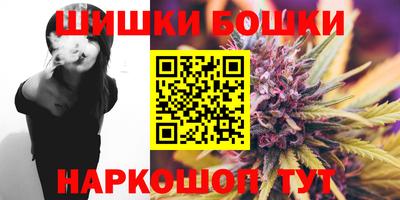 шишки Аргун