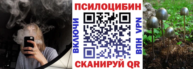 Псилоцибиновые грибы MAGIC MUSHROOMS дарнет шоп Екатеринбург