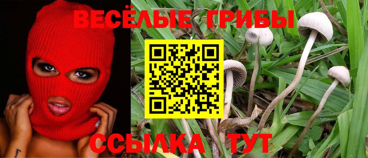 Псилоцибиновые грибы Cubensis Екатеринбург