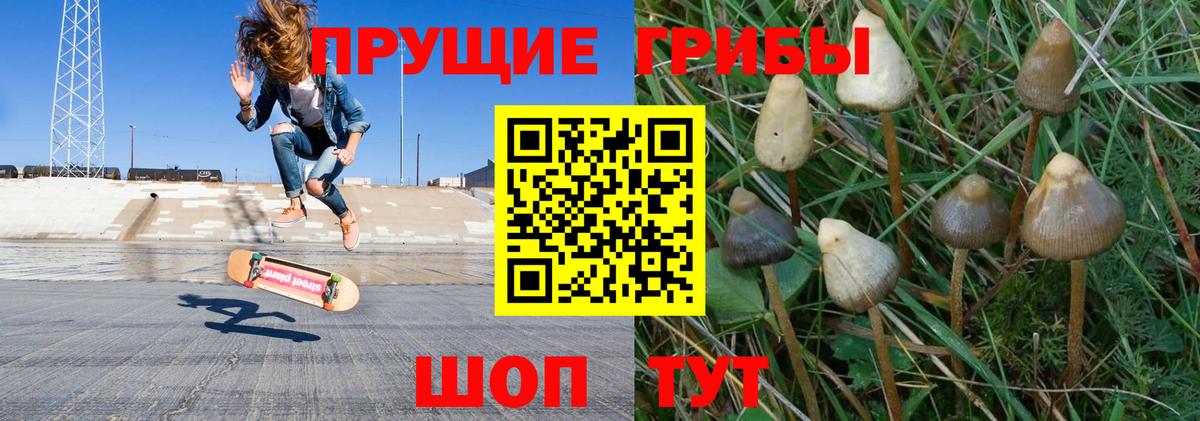 Псилоцибиновые грибы ЛСД  Вход с VPN  Екатеринбург 