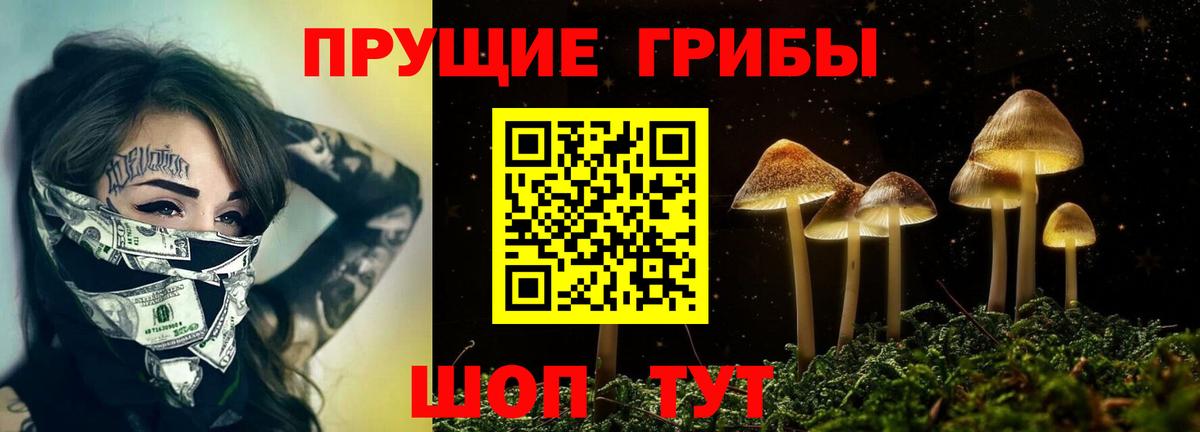 Псилоцибиновые грибы Magic Shrooms  Екатеринбург  Псилоцибиновые грибы мухоморы 